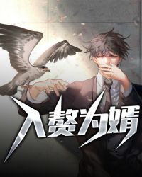 入赘为婿章节列表