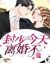 封少，今天离婚不章节列表