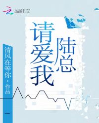 陆总请爱我章节列表