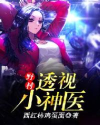 野村透视小神医章节列表