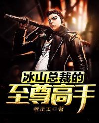 冰山总裁的至尊高手章节列表