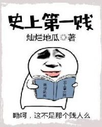 史上第一贱章节列表