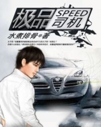 极品司机章节列表