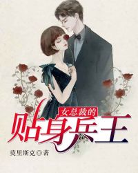 女总裁的贴身兵王章节列表