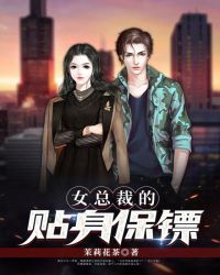 女总裁的贴身保镖章节列表