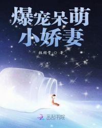爆宠呆萌小娇妻章节列表