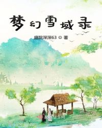 梦幻雪域录章节列表