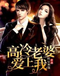 高冷老婆爱上我章节列表