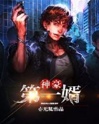 神豪第一婿章节列表