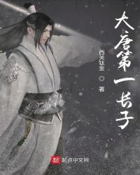 大唐第一长子章节列表