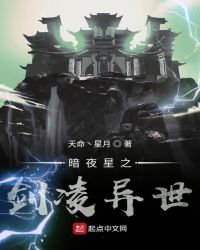 暗夜星之剑凌异世章节列表