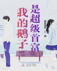 我的鹅子是超级首富章节列表