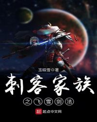 刺客家族之飞雪剑法章节列表