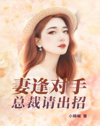 妻逢对手：总裁请出招章节列表