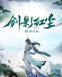 剑影红尘章节列表