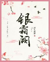 银霜阙章节列表