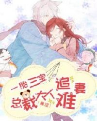 一胎三宝：总裁大人追妻难章节列表