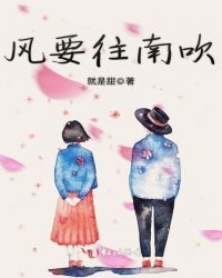 风要往南吹章节列表