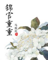 锦官重重章节列表