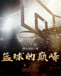 篮球的巅峰章节列表