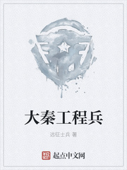 大秦工程兵章节列表