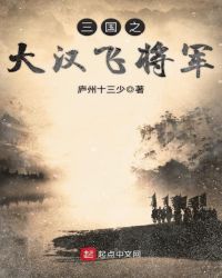 三国之大汉飞将军章节列表