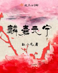 麟嘉元宁章节列表