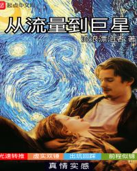 从流量到巨星章节列表