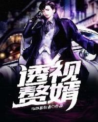 透视赘婿章节列表