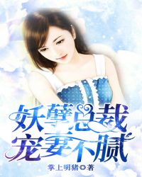 妖孽总裁宠妻不腻章节列表