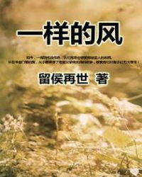 一样的风章节列表