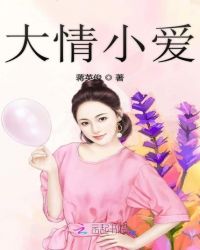 大情小爱章节列表