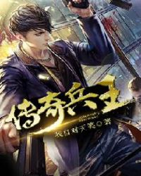 传奇兵王章节列表