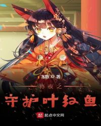 将夜之守护叶红鱼章节列表