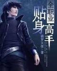 全职业贴身高手章节列表