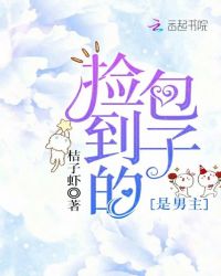 捡到的包子是男主章节列表