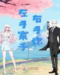 左手案子右手你章节列表