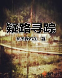 疑路寻踪章节列表