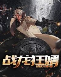 战龙狂婿章节列表