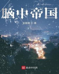 脑中帝国章节列表