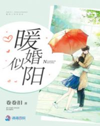 暖婚似阳章节列表