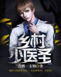 乡村小医圣章节列表
