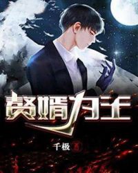 赘婿为王章节列表