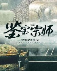 鉴宝宗师章节列表
