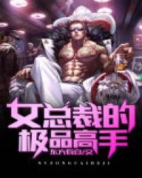 女总裁的极品高手章节列表