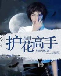 最强护花高手章节列表