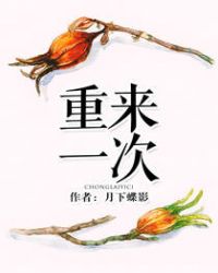 重来一次章节列表