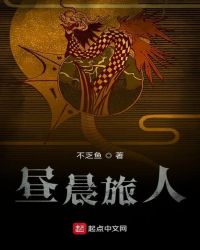 昼晨旅人章节列表