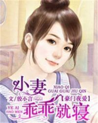 豪门夜爱：小妻乖乖就寝章节列表