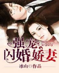 强宠闪婚娇妻章节列表